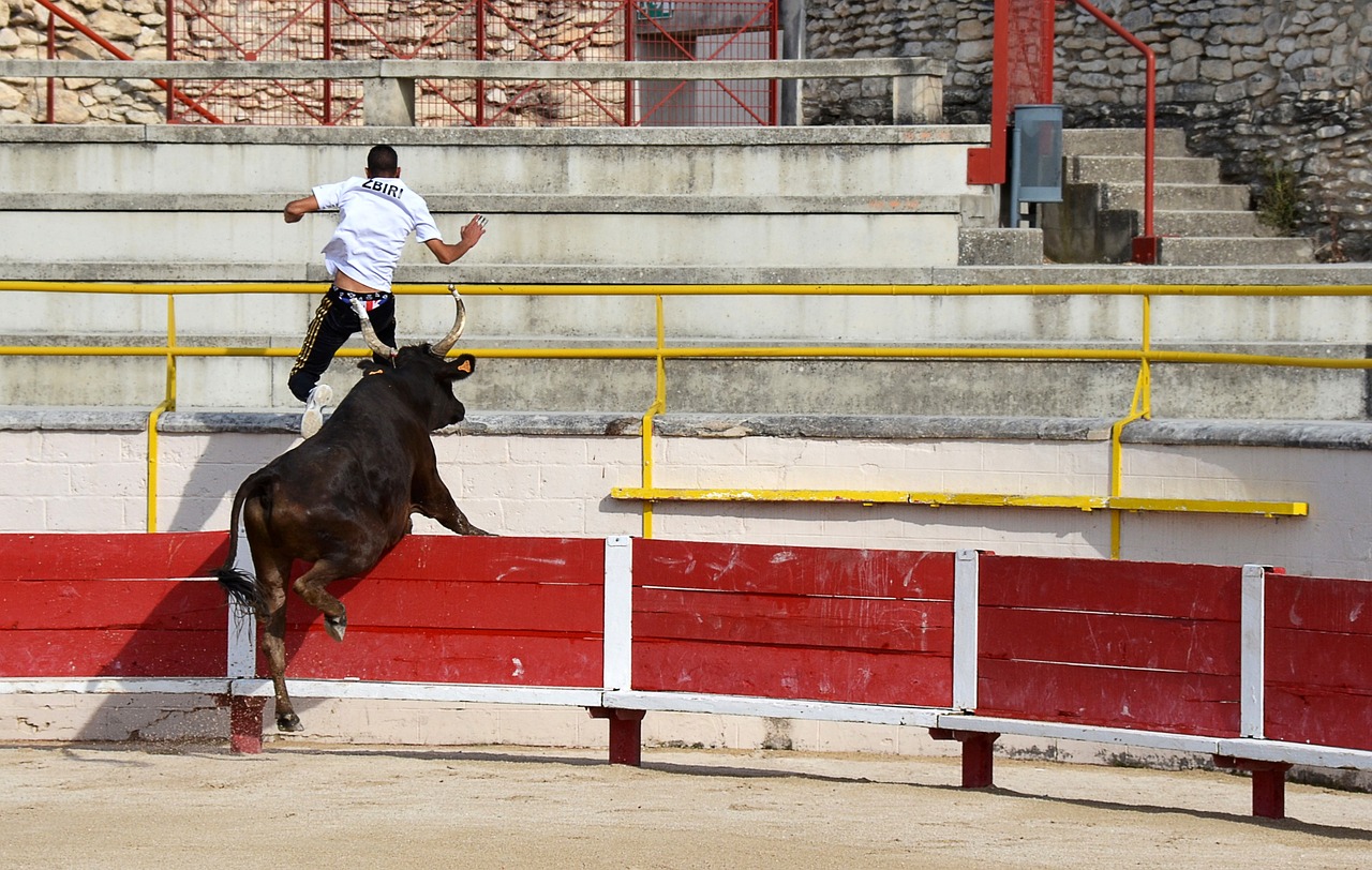 神戶勝利船