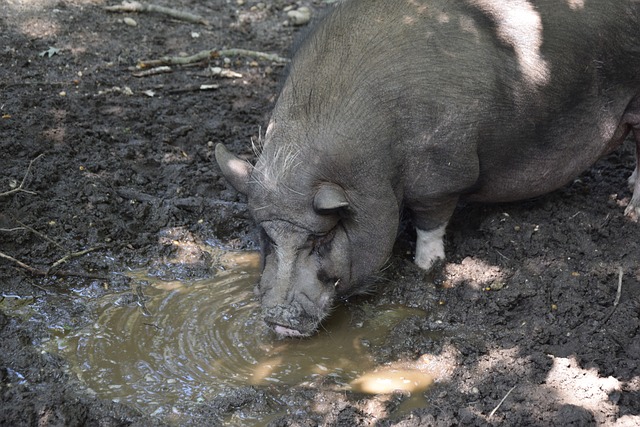 为球队提供 为球队提供