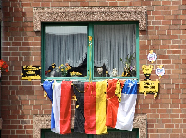 提供了新的 提供了新的