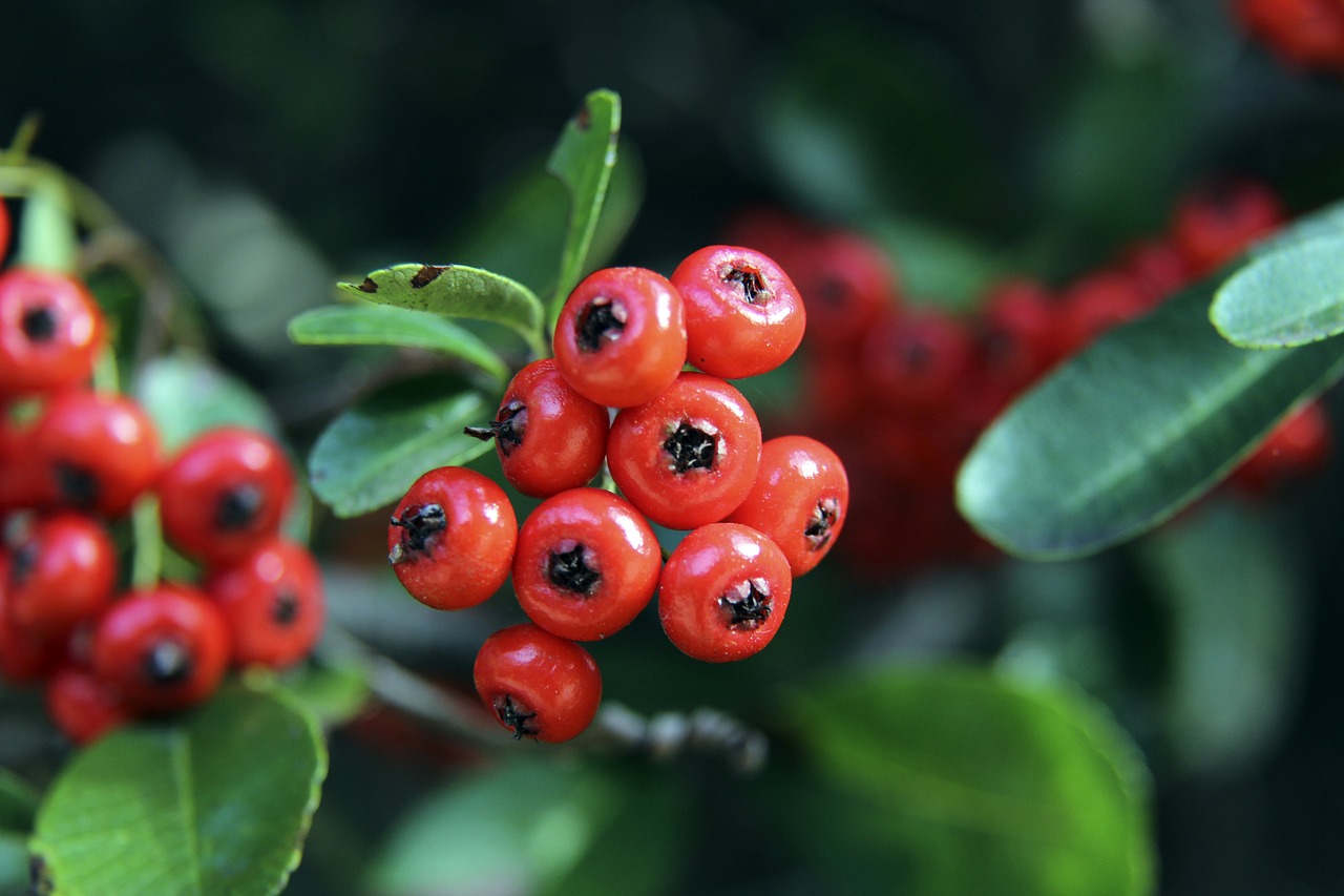 同談判中更 同談判中更