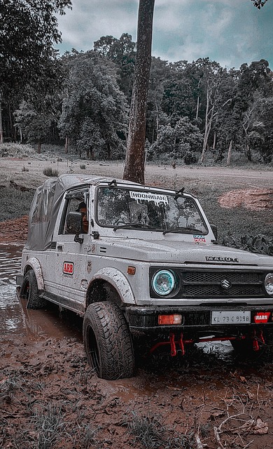 商业化的今 商业化的今