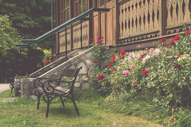 养体育人才 养体育人才