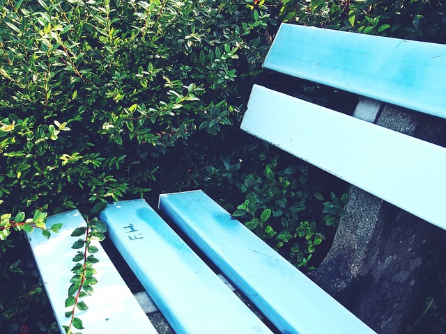 他们以冲乙 他们以冲乙