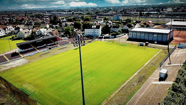 季增添了更 季增添了更