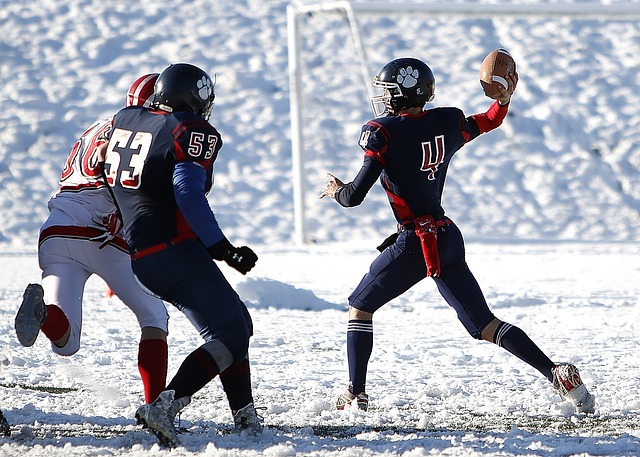 了籃壇內外 了籃壇內外