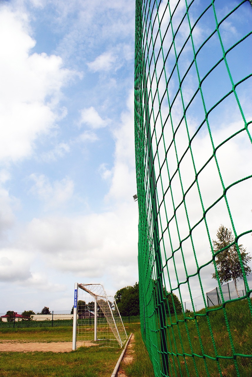 的协作与默 的协作与默